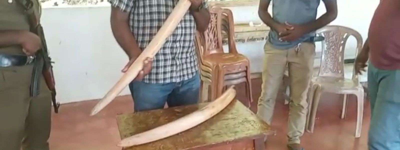 Man arrested with a pair of elephant tusks